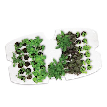 Aerogarden seed trays