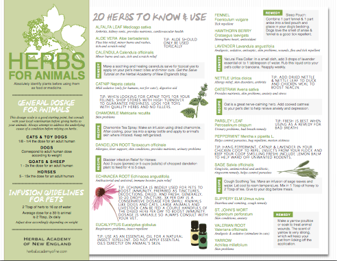 herbs for animals