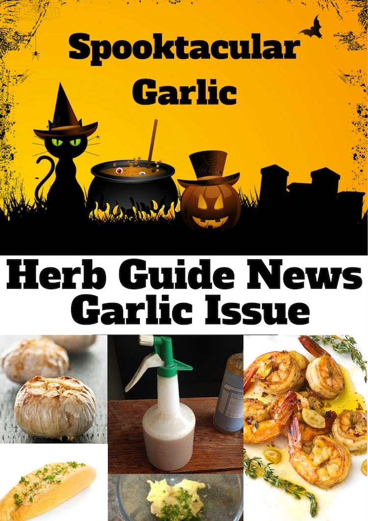 Garlic Issue Herb Guide News