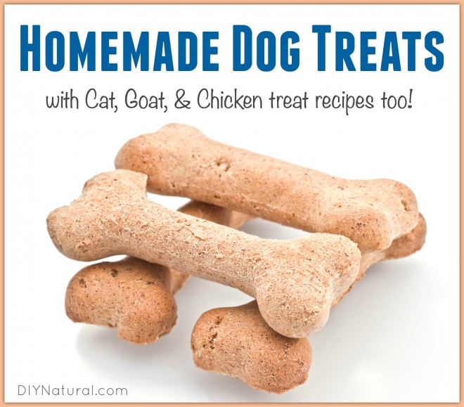 dog treats homemade