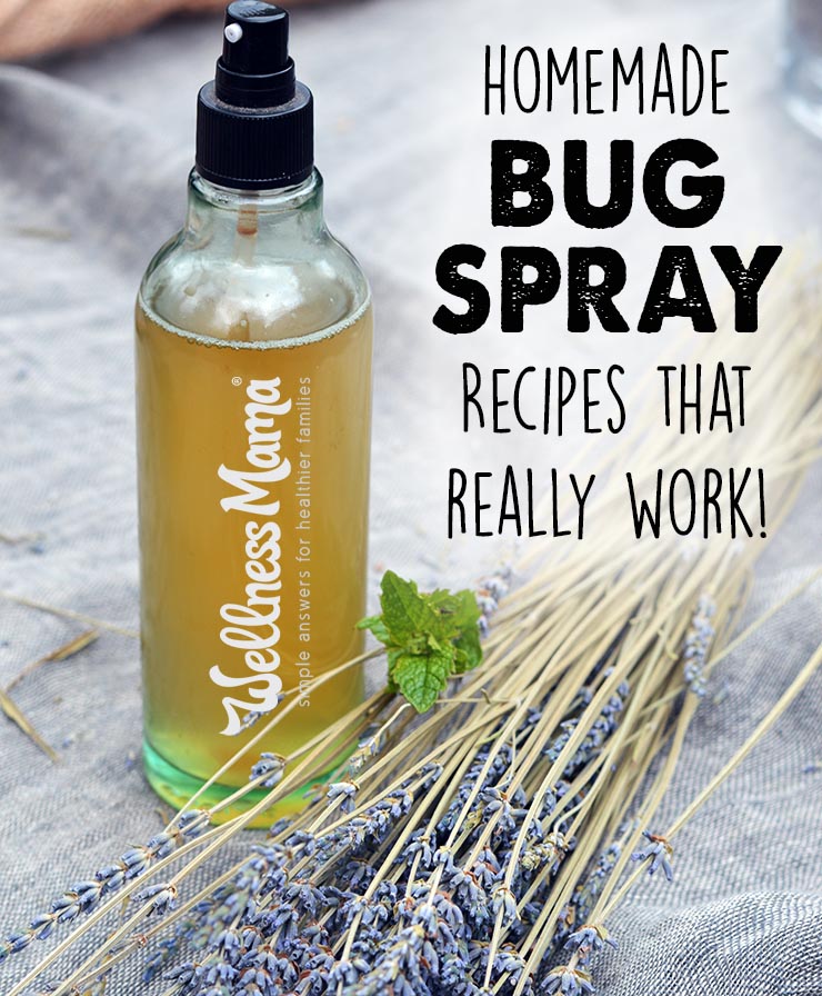 homemade bug spray