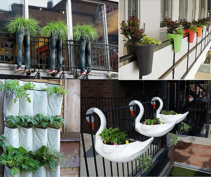 wacky containers for growing plants