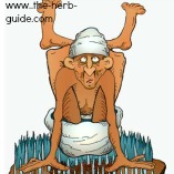 Ayurvedic yogi cartoon Ayurvedic yogi cartoon