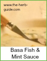 basa with mint sauce