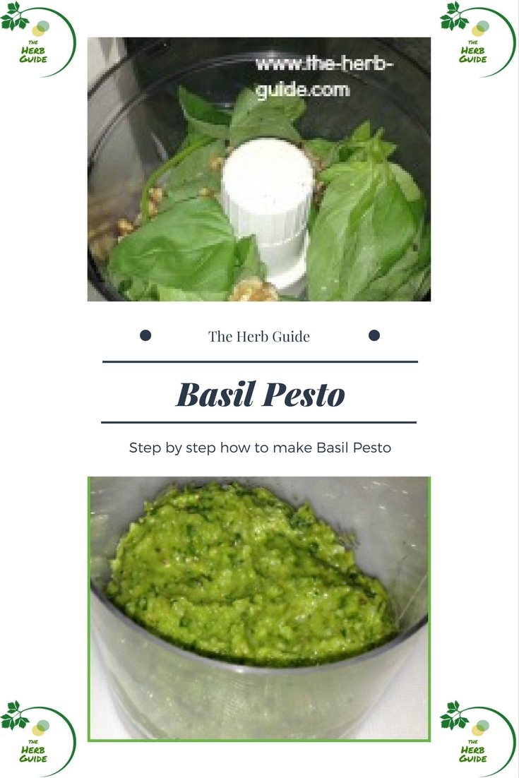 basil pesto recipe