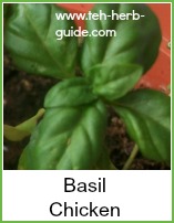 fresh basil leaves