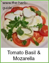 tomato basil and mozzarella salad