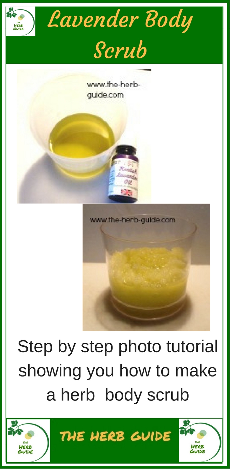 lavender body scrub in a jar