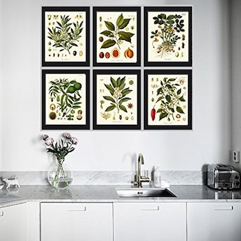Set of 6 Botanical Prints