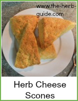 herb cheese scones