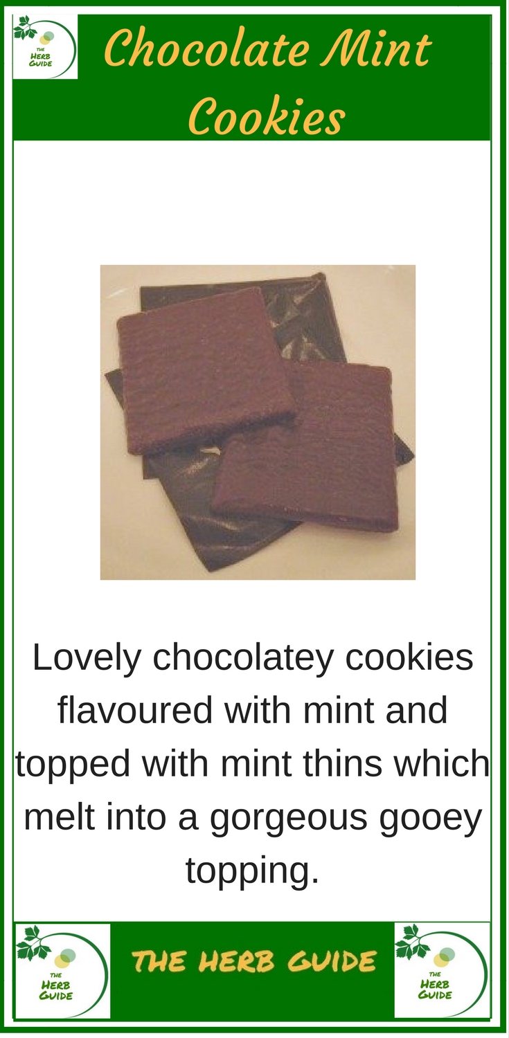 Chocolate mint thins for cookies