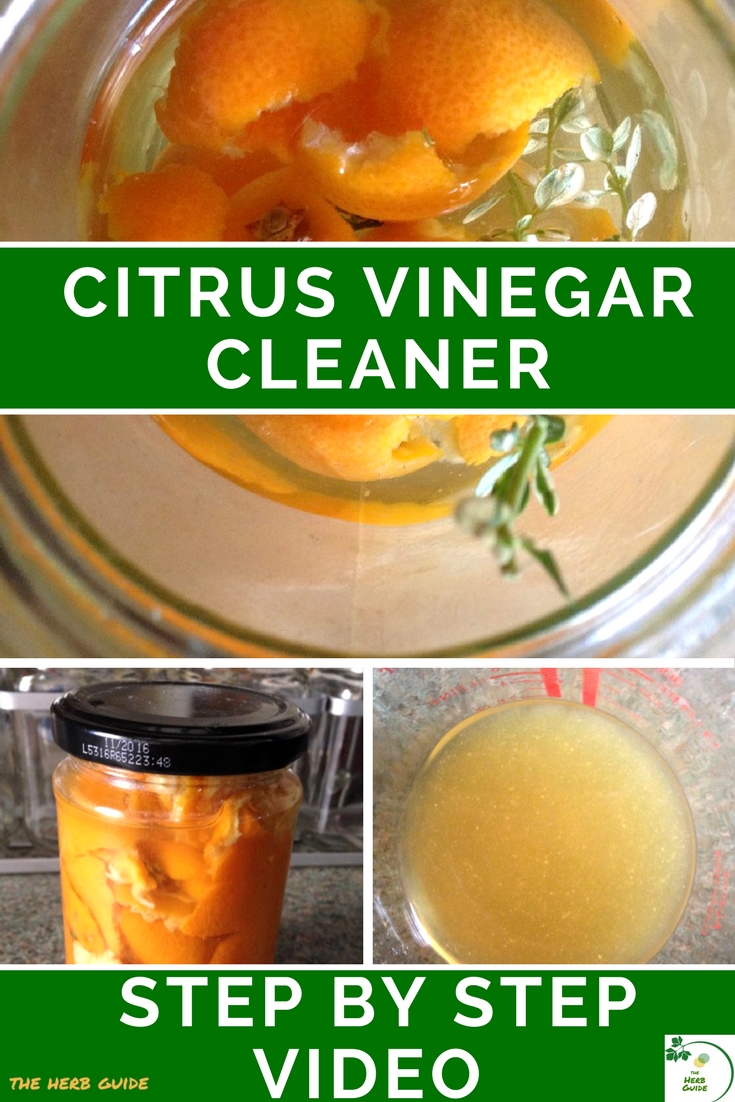 Citrus vinegar cleaner