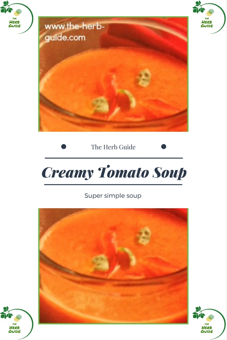 creamy tomato basil soup in a bowl