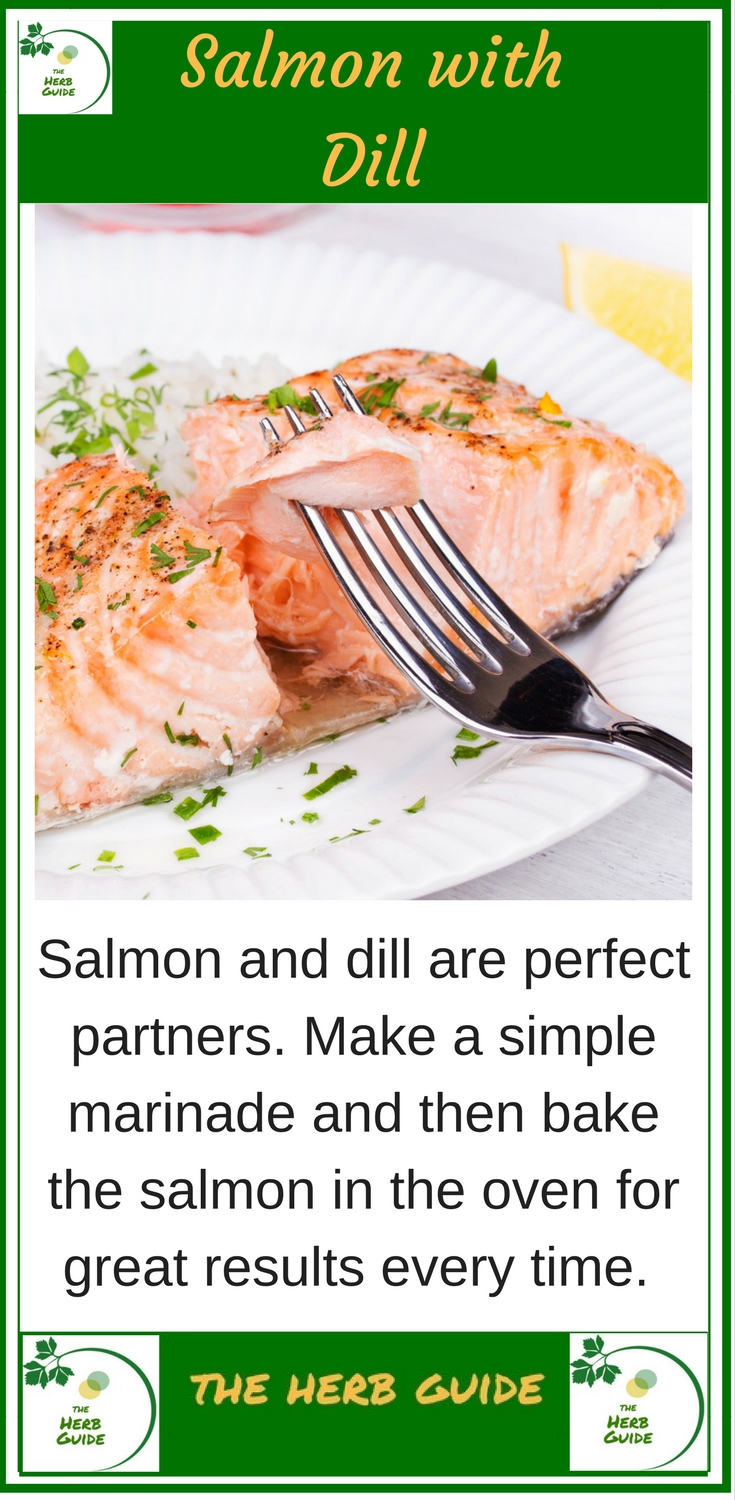 Dill Salmon Recipe