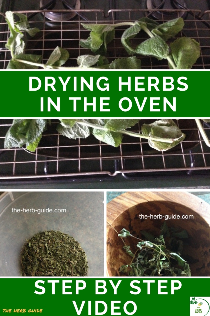 drying herbs in the oven