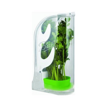 fresh herb keeper
