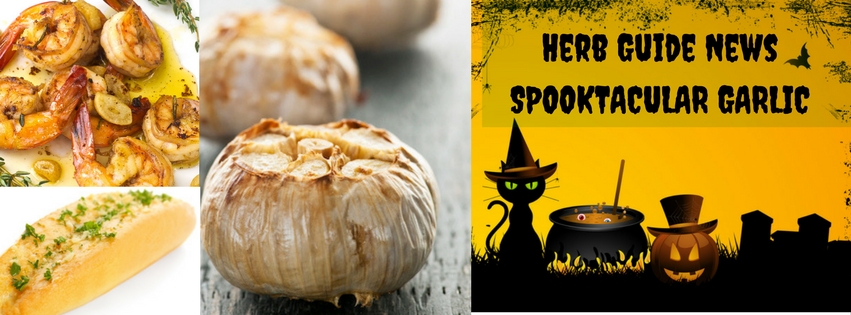 collage of halloween and garlic collage of halloween and garlic