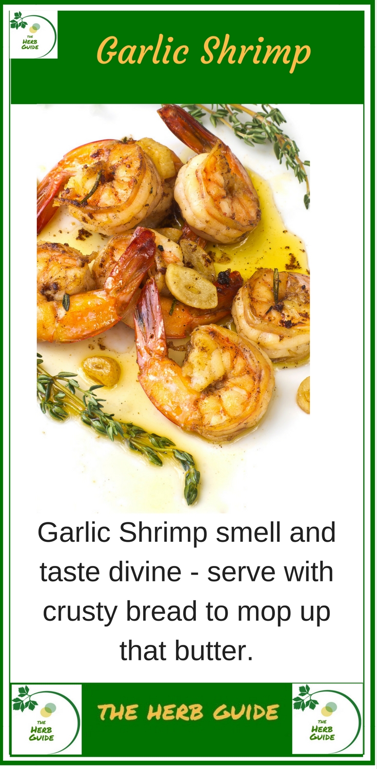 Garlic Prawn Recipe