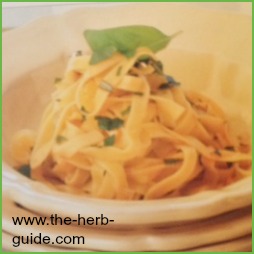 Garlic Chicken Pasta Recipe