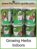 indoor herb growing kits