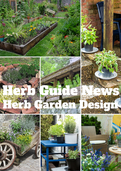 Herb Garden Design, How To Start A Simple Herb Garden