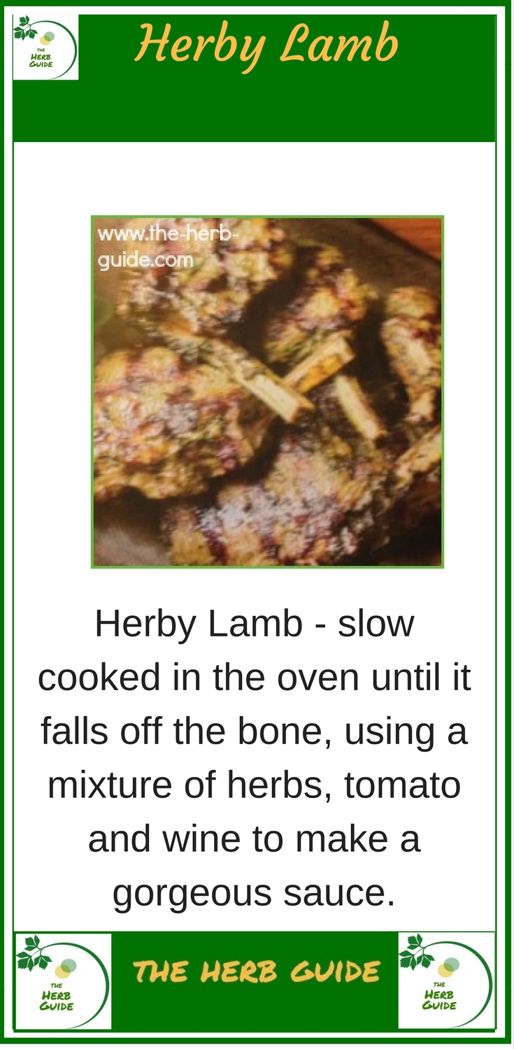 herb lamb cutlets on a plate