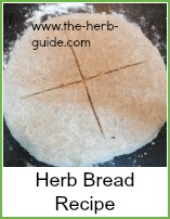 herb bread scored and ready to go in the oven