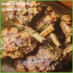 Herb Lamb Recipe