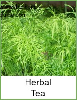 herbs for making tea