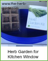 herb garden kit for kitchen windowsill