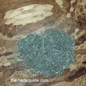 mint ground in the mortar mint ground in the mortar
