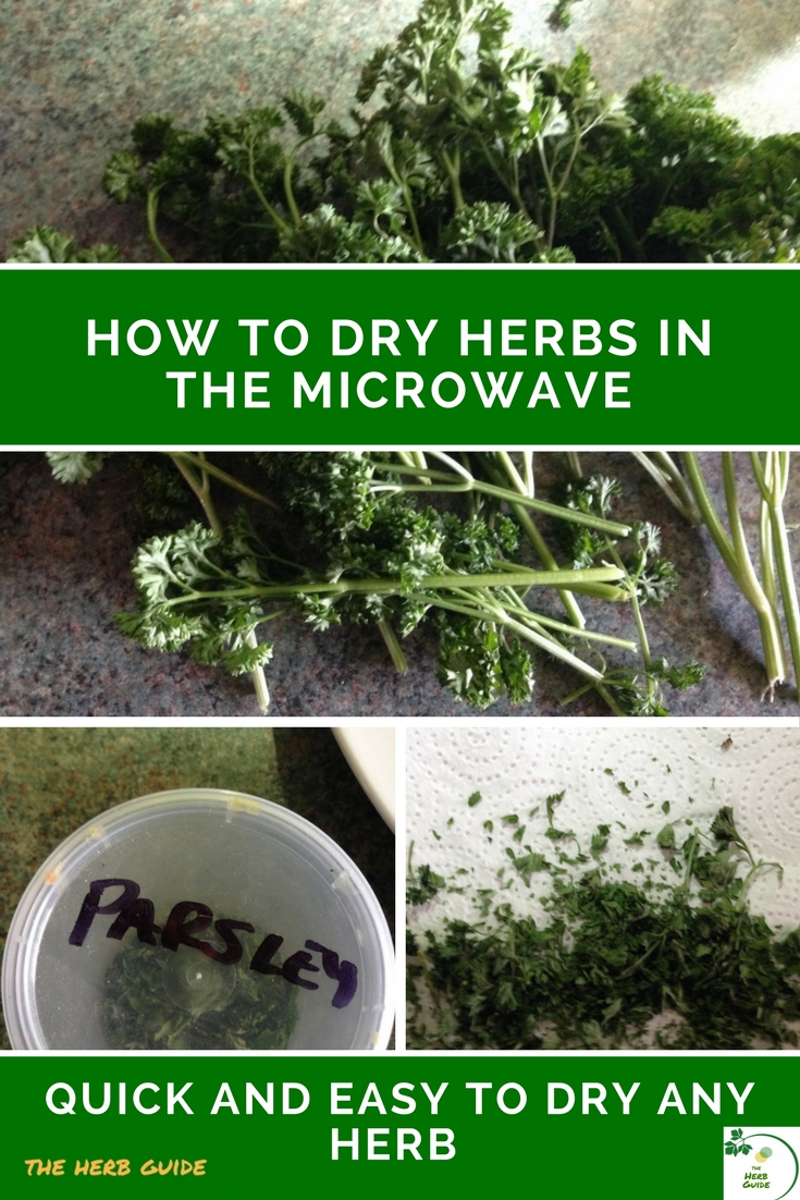 Angelina Chirnside How To Dry Flowers In The Microwave / Tips & Tricks