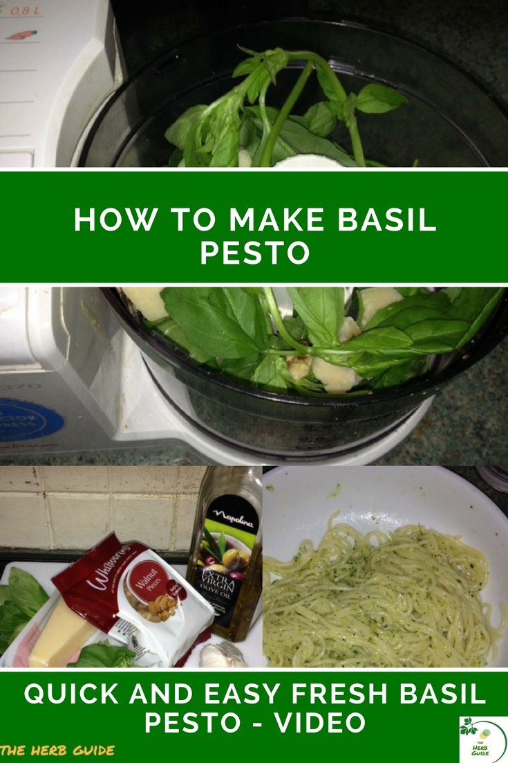 Basil Pesto Recipe