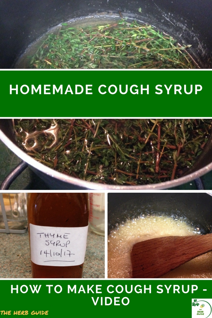thyme cough syrup ingredients