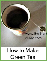 mug of green tea with tea bag