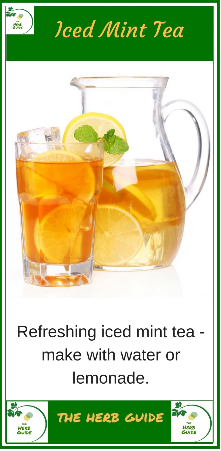 refreshing iced mint tea in a jug
