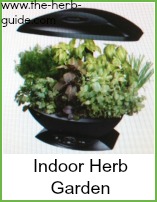 Aerogarden for an indoor herb garden