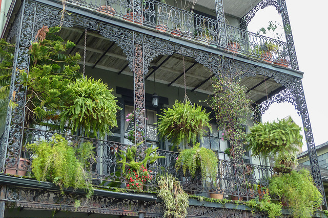 balcony with hanging plants