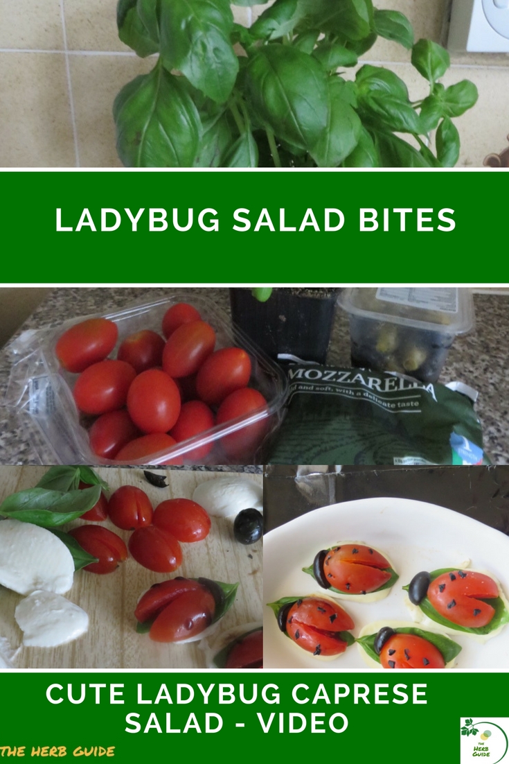ladybug salad bites, tomato, mozzarella and basil