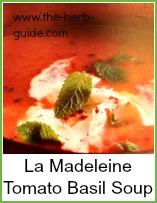 la Madeleine tomato basil soup