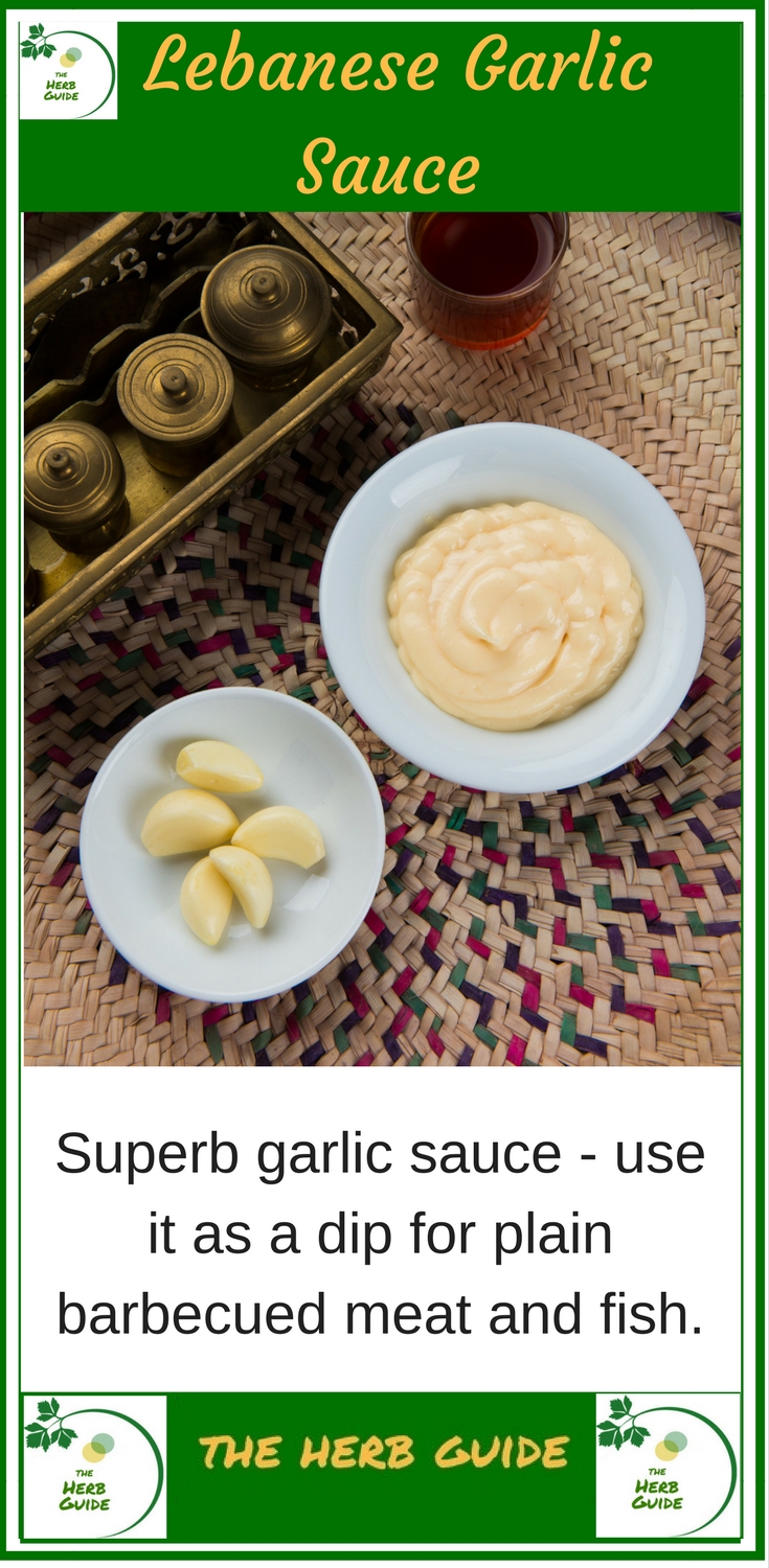 Lebanese garlic sauce in bowls