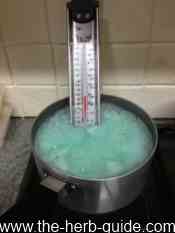 mint jelly boiling mint jelly boiling