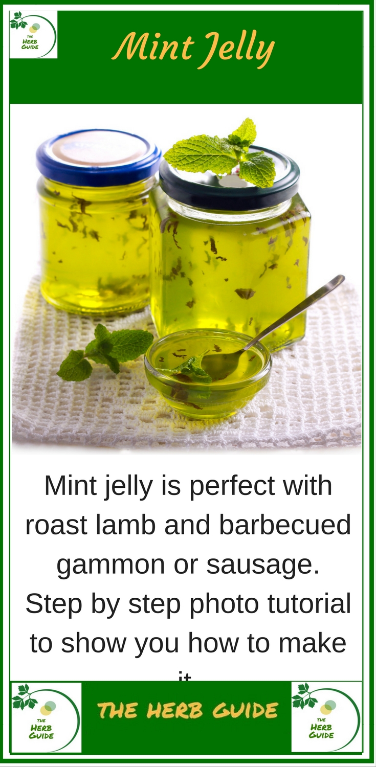 Mint Jelly