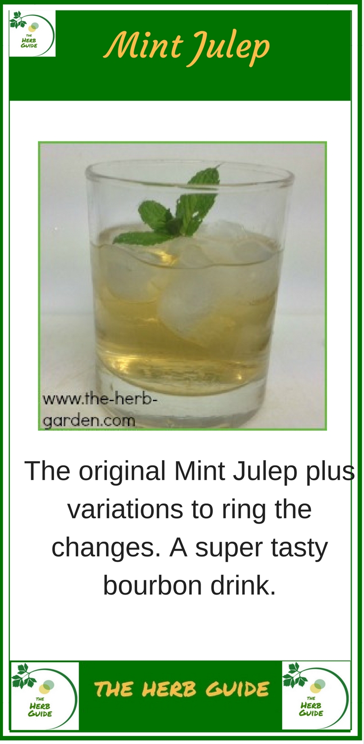 mint julep in a glass with  a sprig of fresh mint