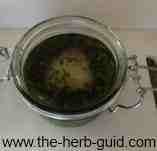 sugar added to kilner jar sugar added to kilner jar