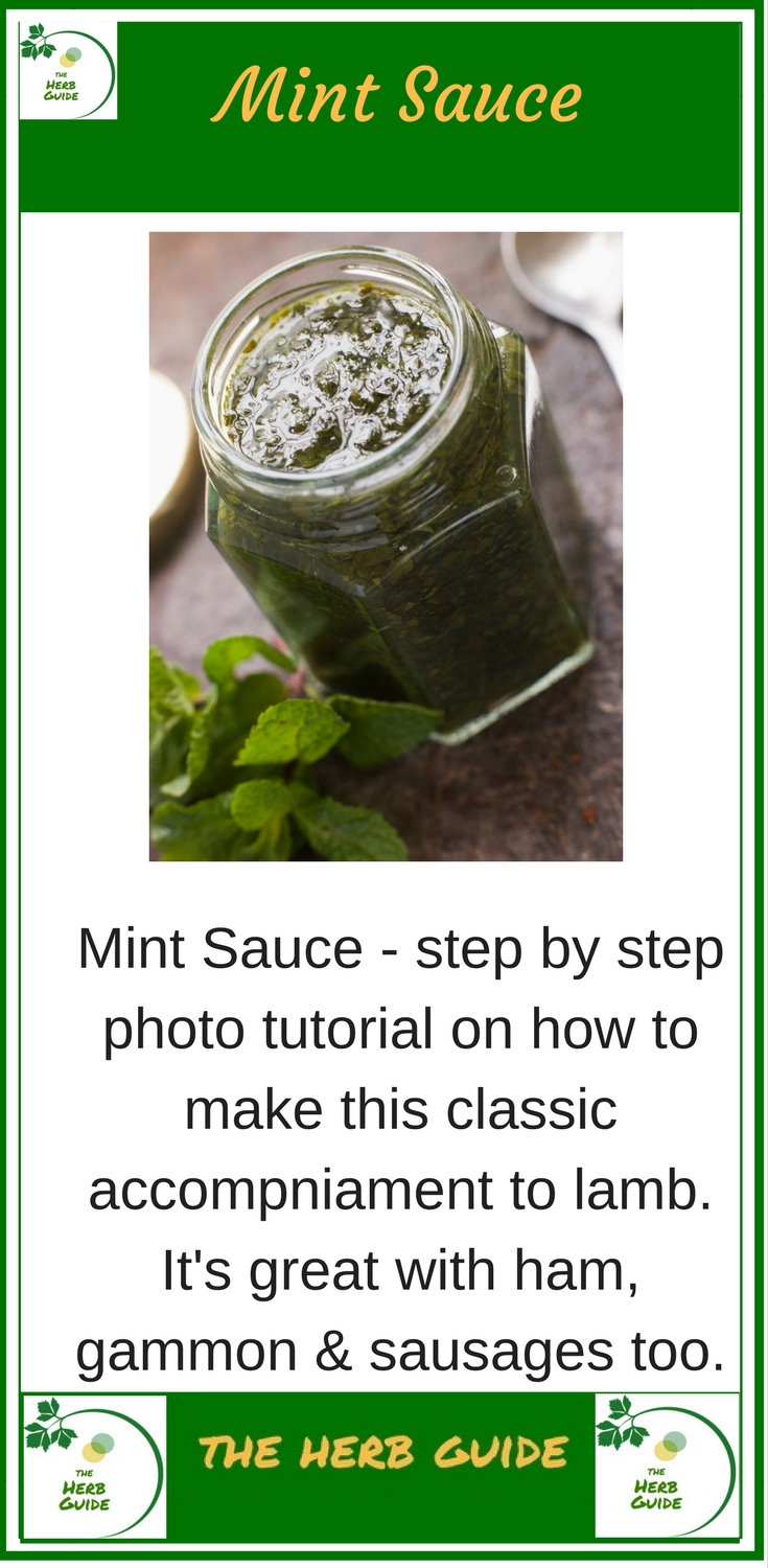 Herb Guide News