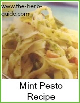 mint pesto on pasta
