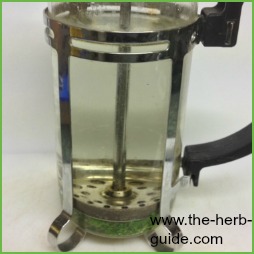 mint tea in a cafetière