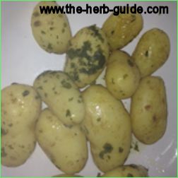 Minted New Potatoes