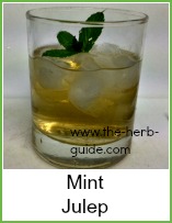 mint julep in a glass with a sprig of mint